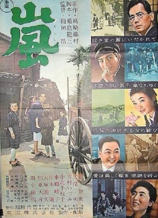 Poster The Storm