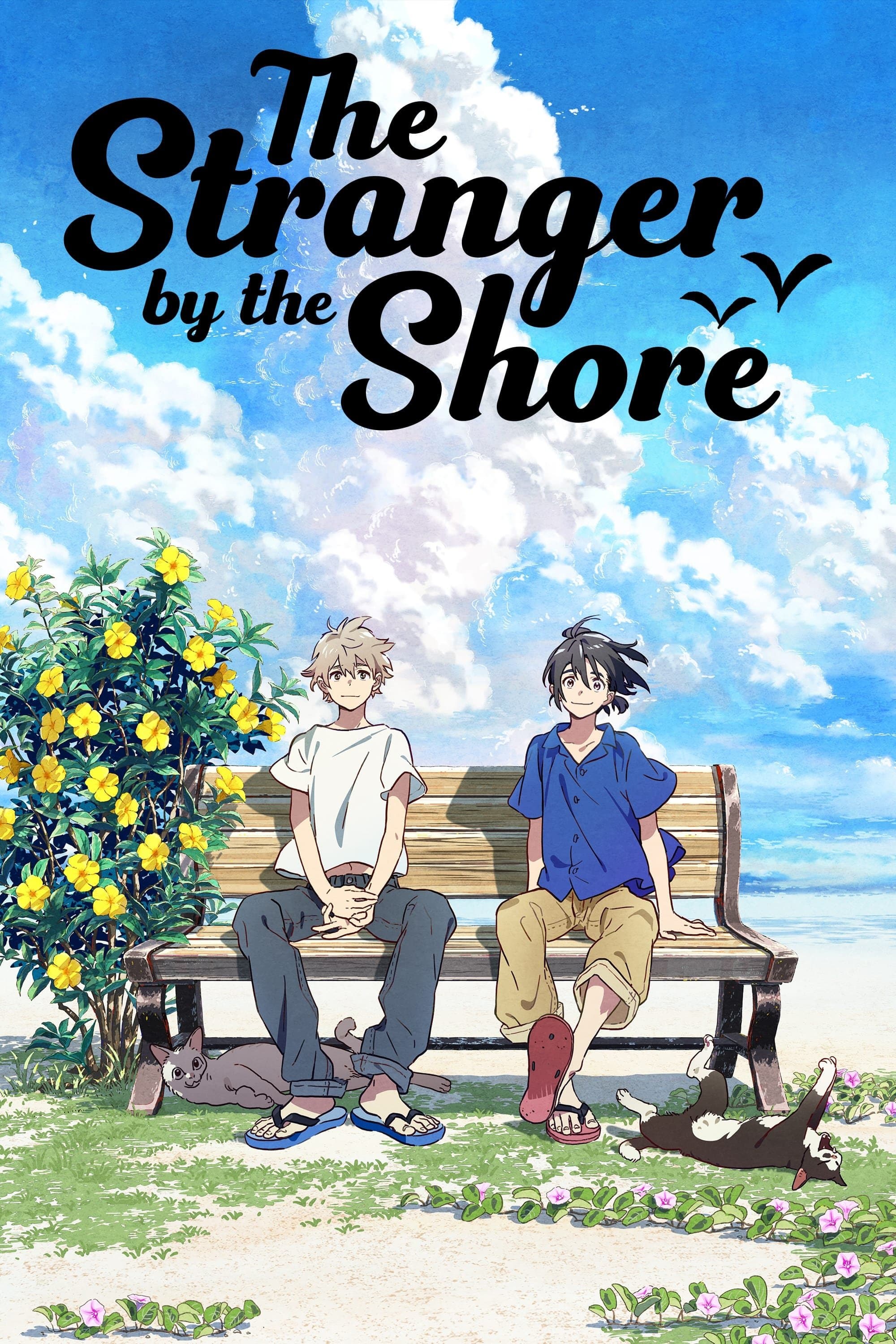 Poster The Stranger by the Shore