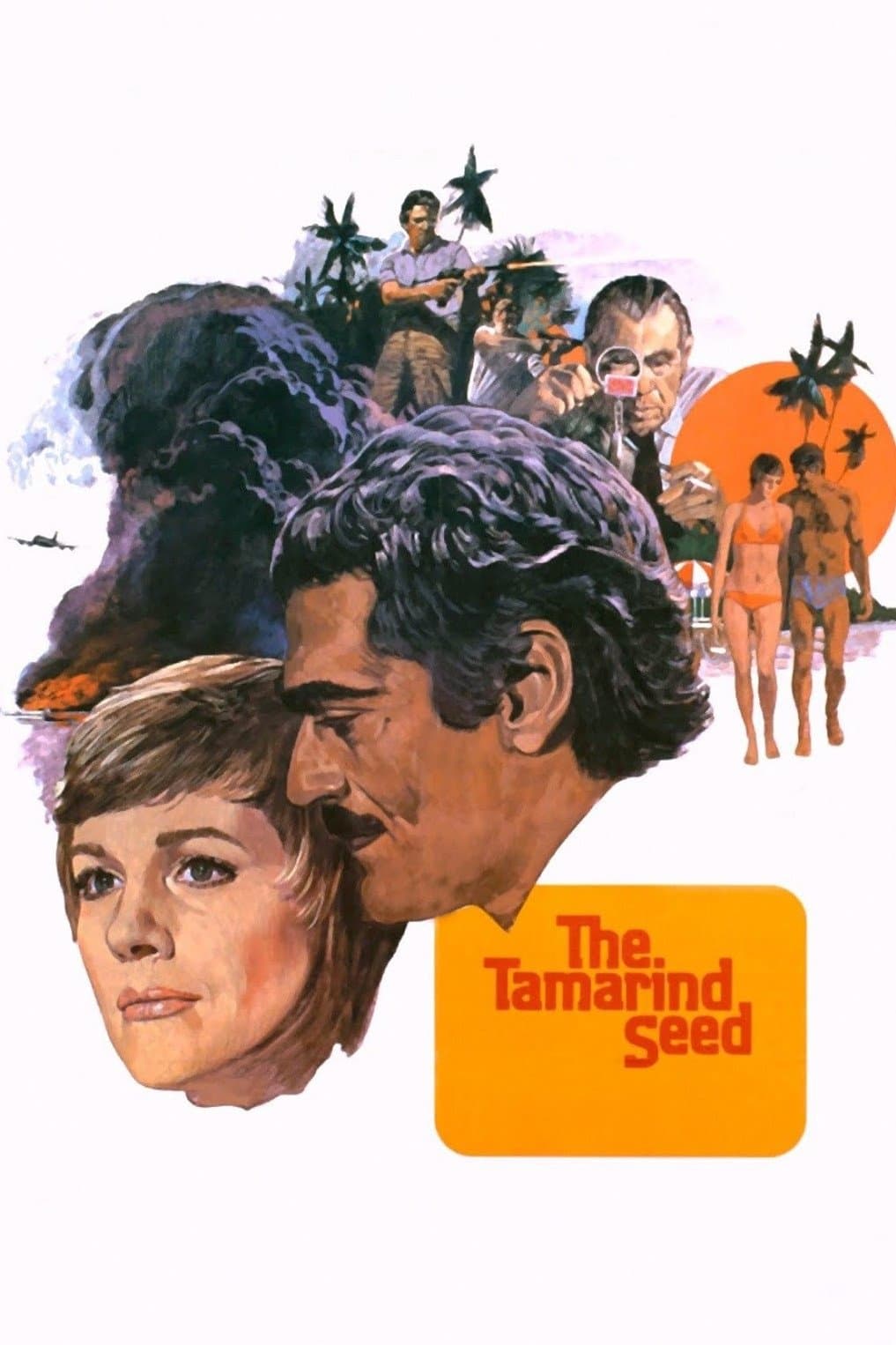 Poster The Tamarind Seed