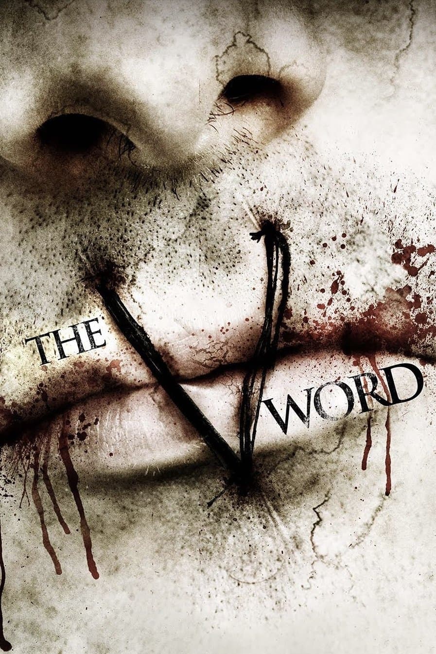 Poster The V Word