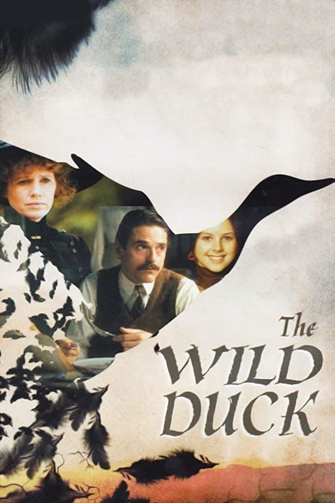 Poster The Wild Duck