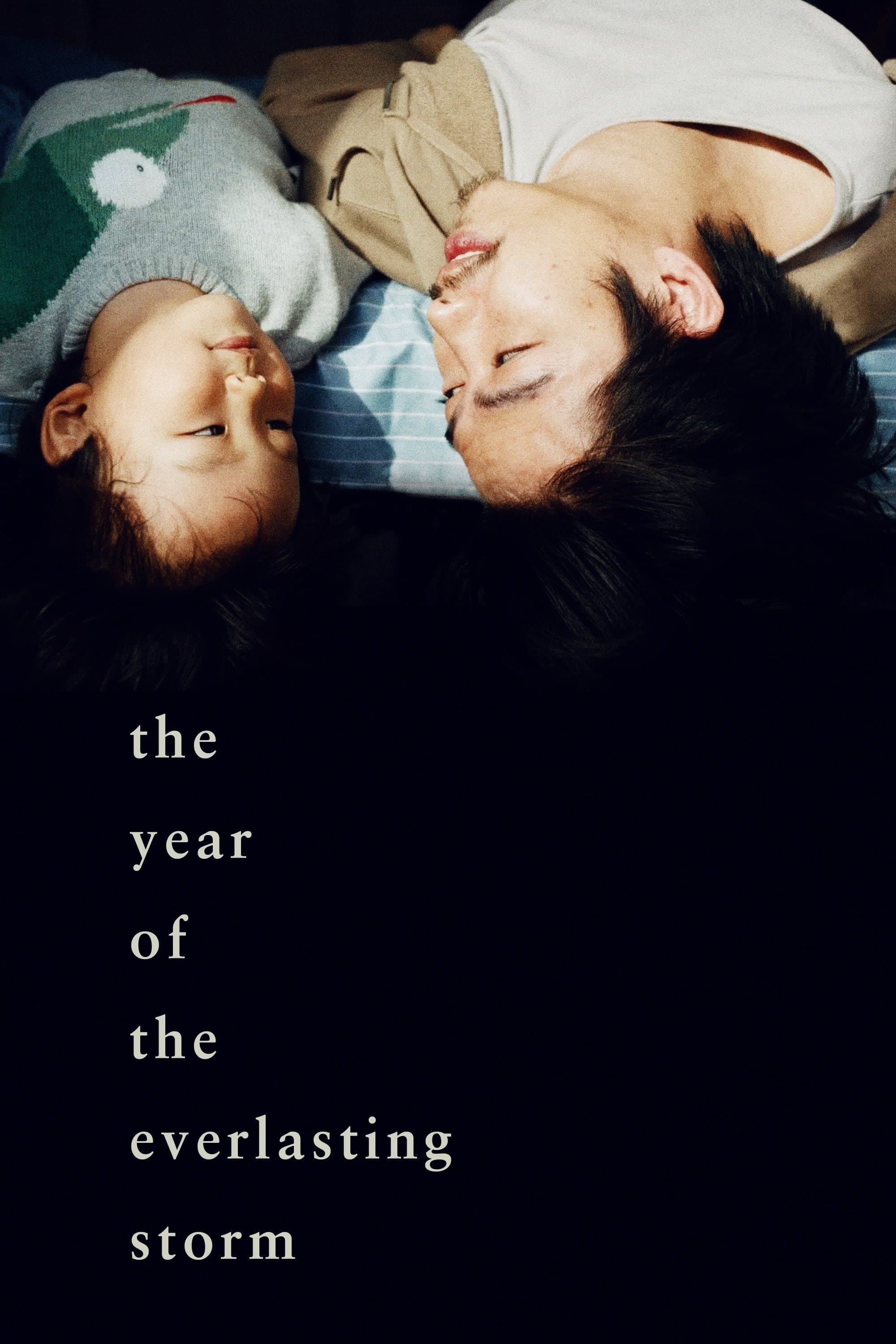 Poster The Year of the Everlasting Storm