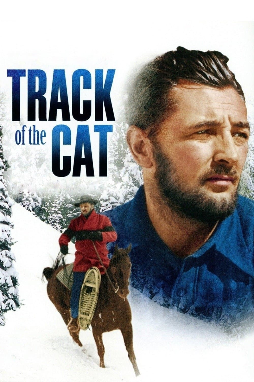 Poster Track of the Cat