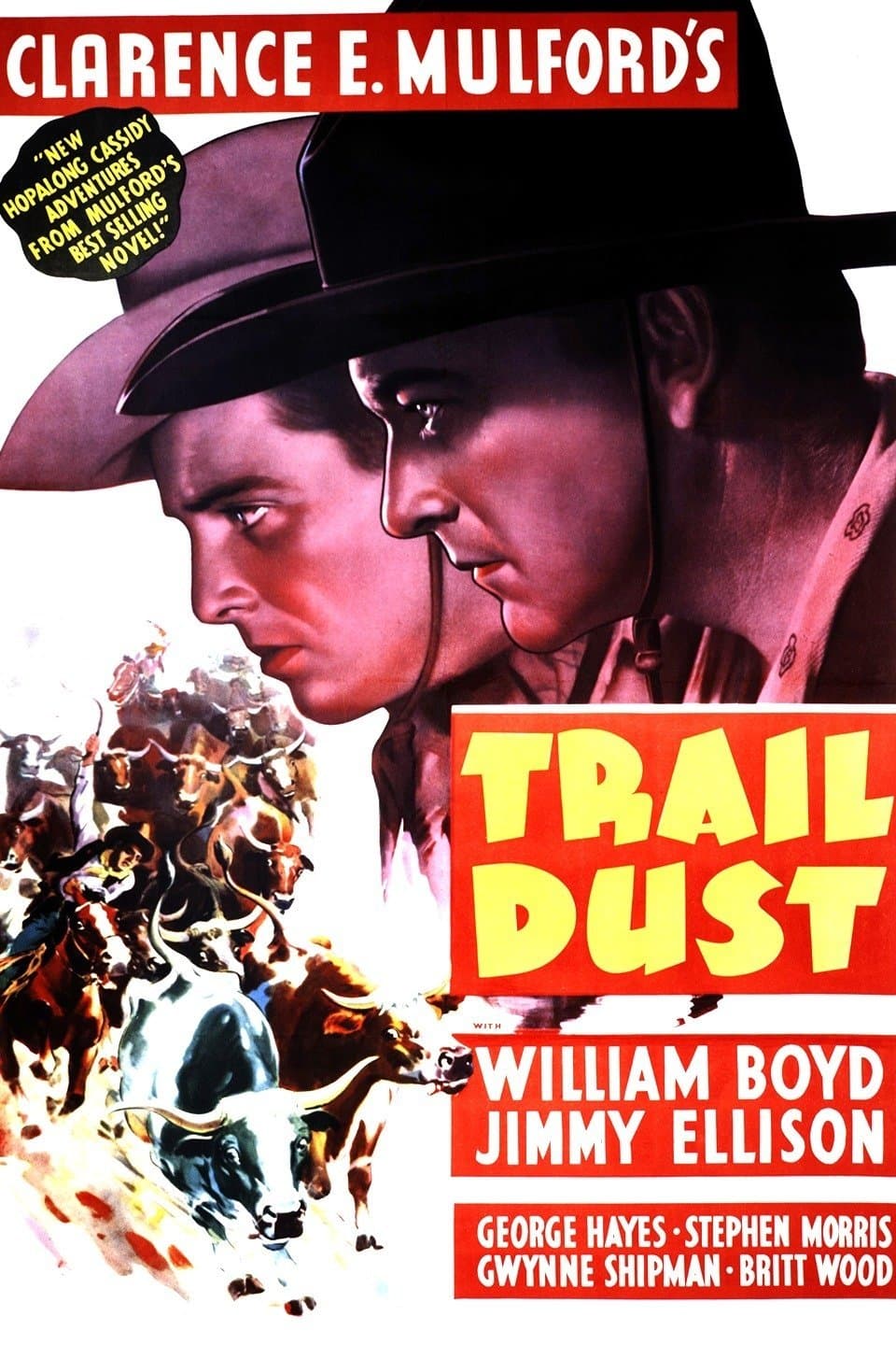 Poster Trail Dust