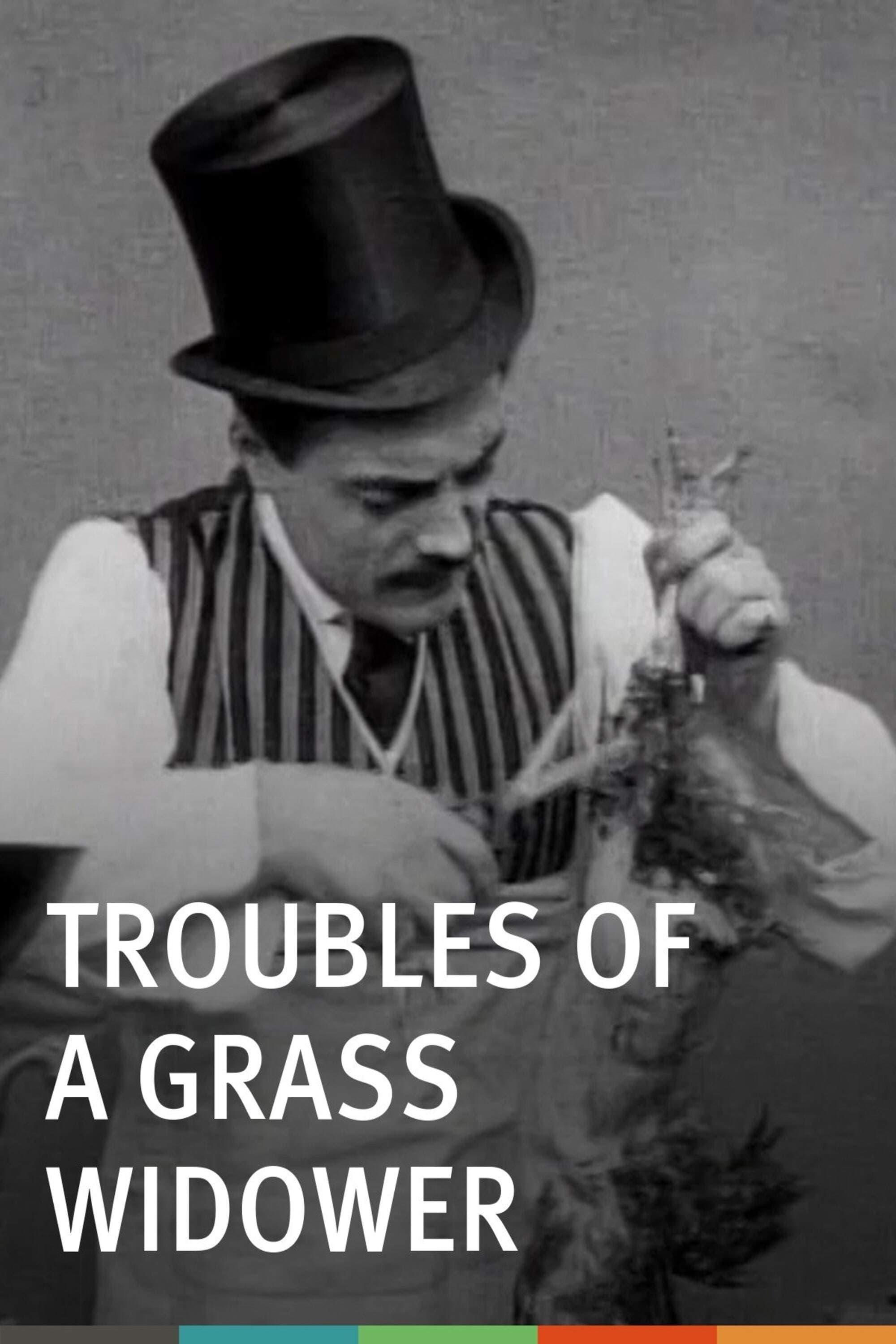 Poster Troubles of a Grass Widower