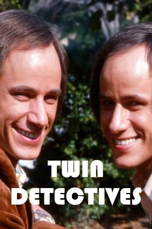 Poster Twin Detectives