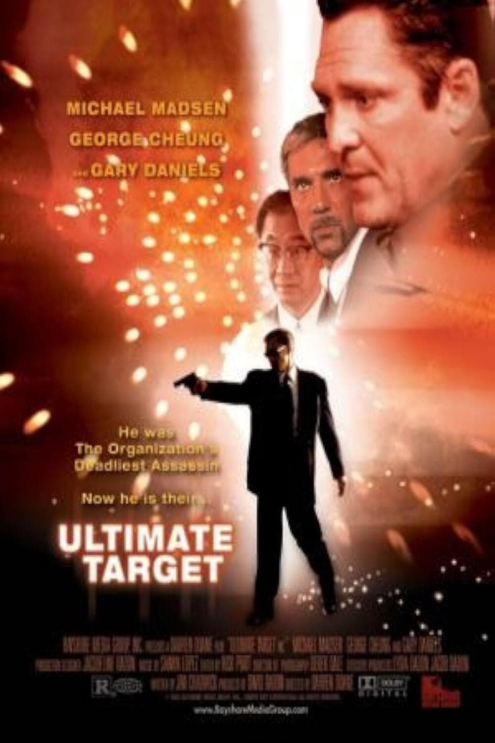Poster Ultimate Target