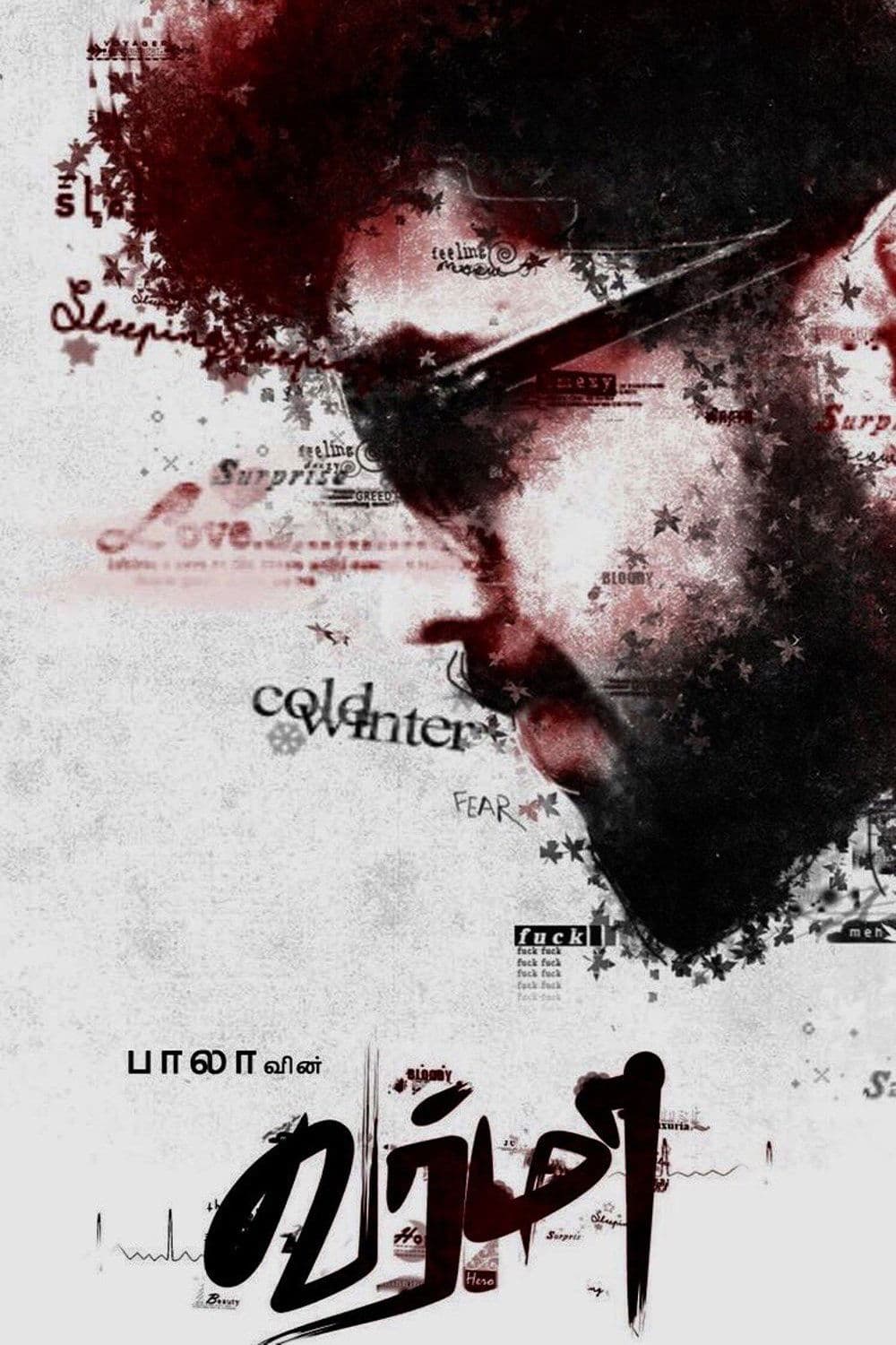 Poster Varmaa
