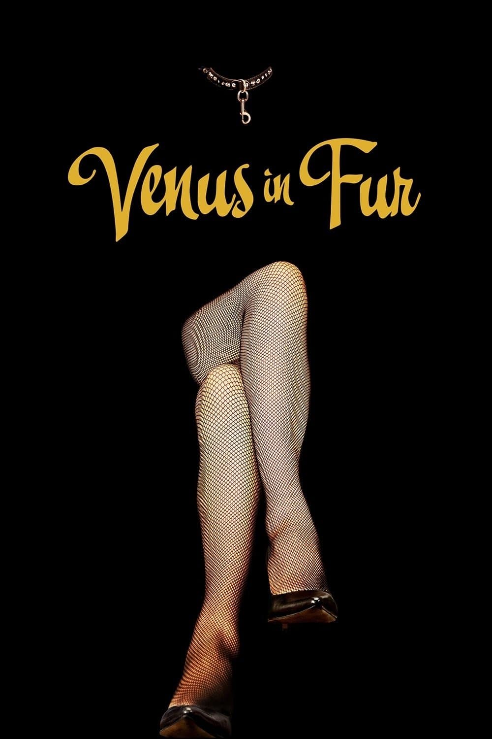 Poster Venus in Fur