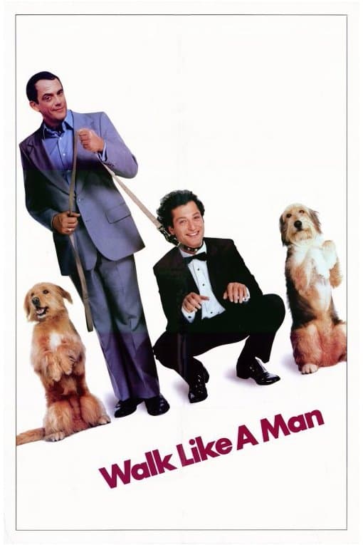 Poster Walk Like a Man