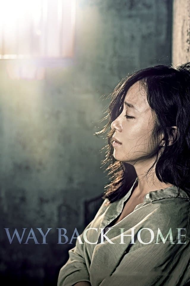 Poster Way Back Home