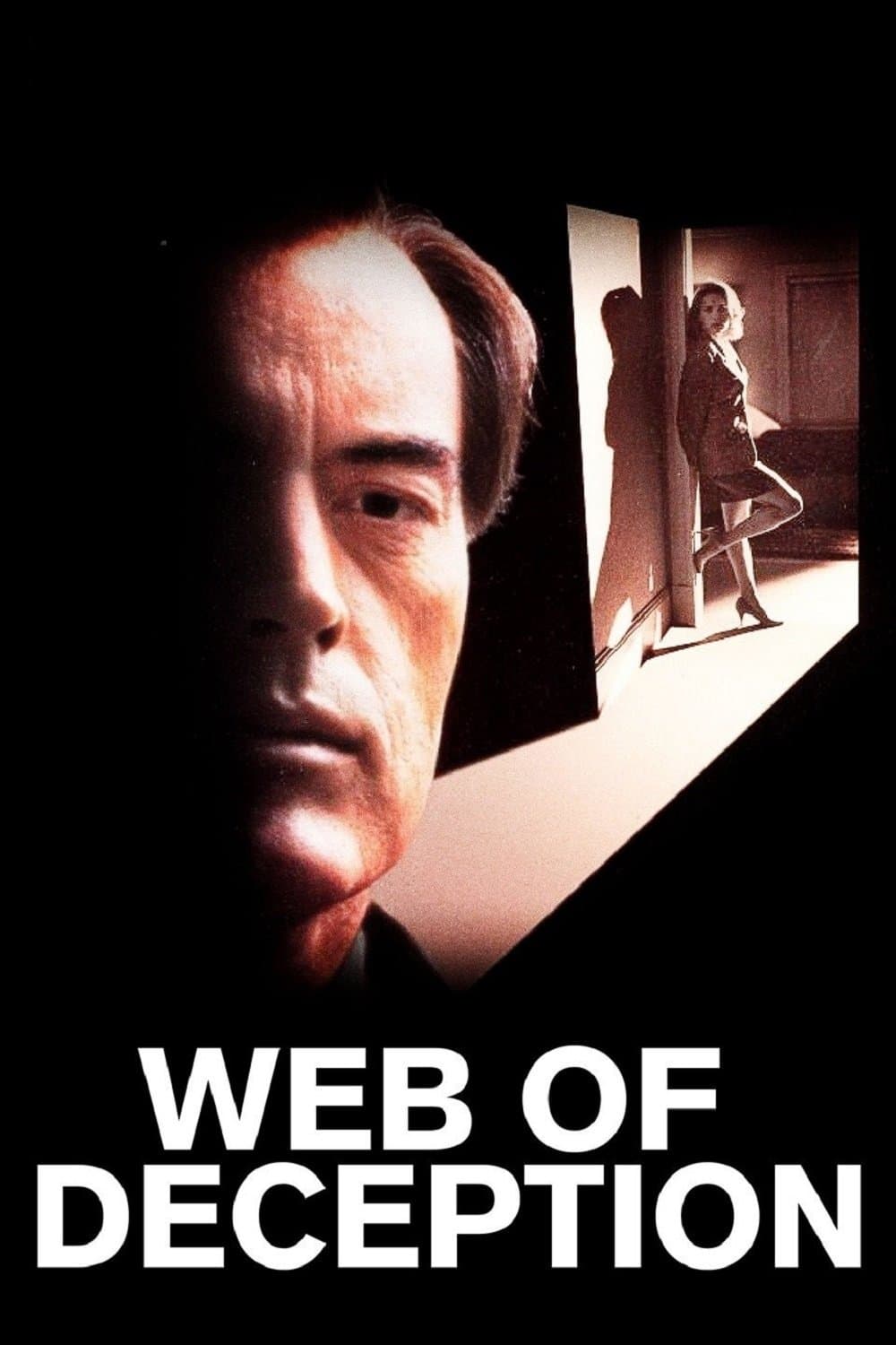 Poster Web of Deception