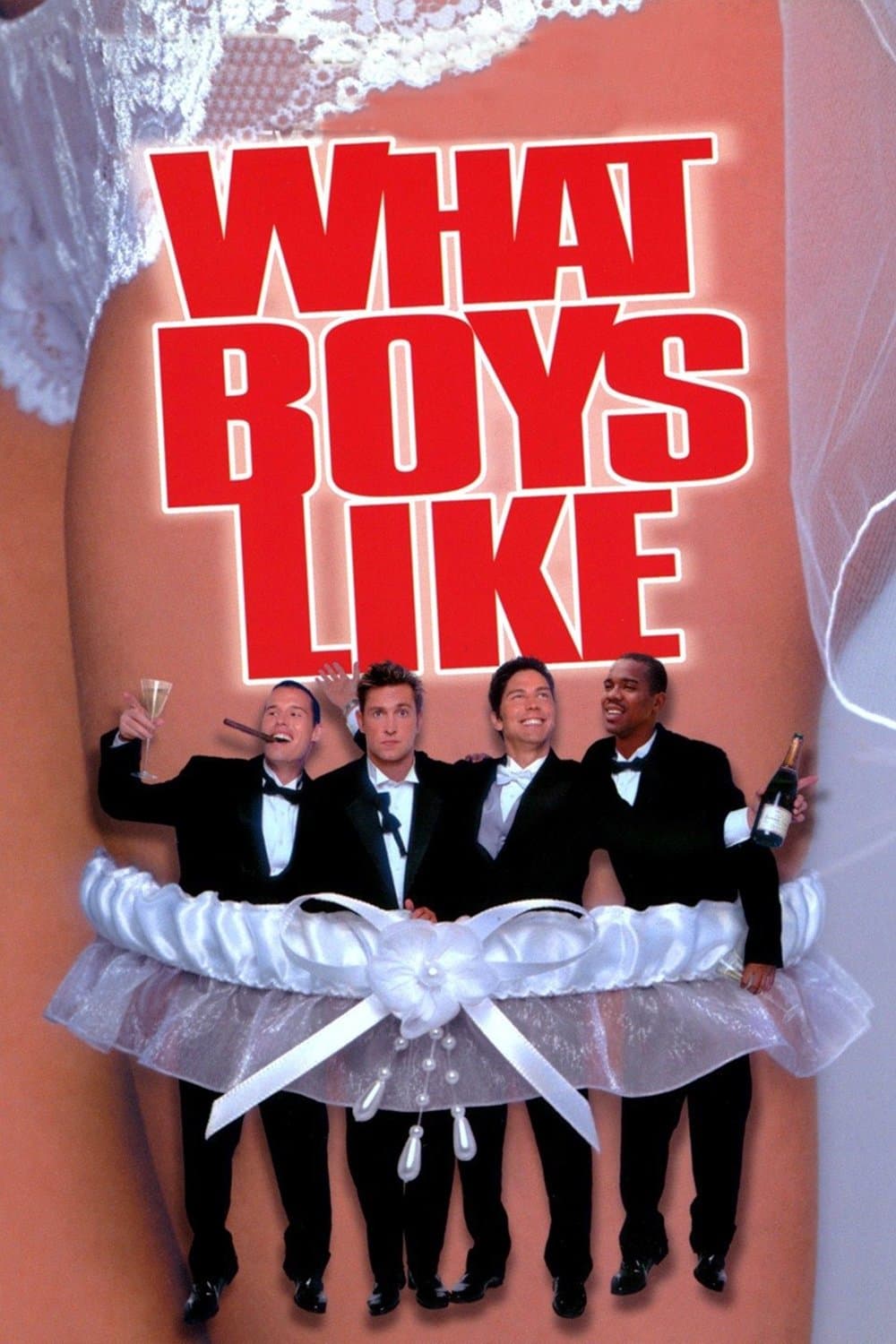 Poster What Boys Like
