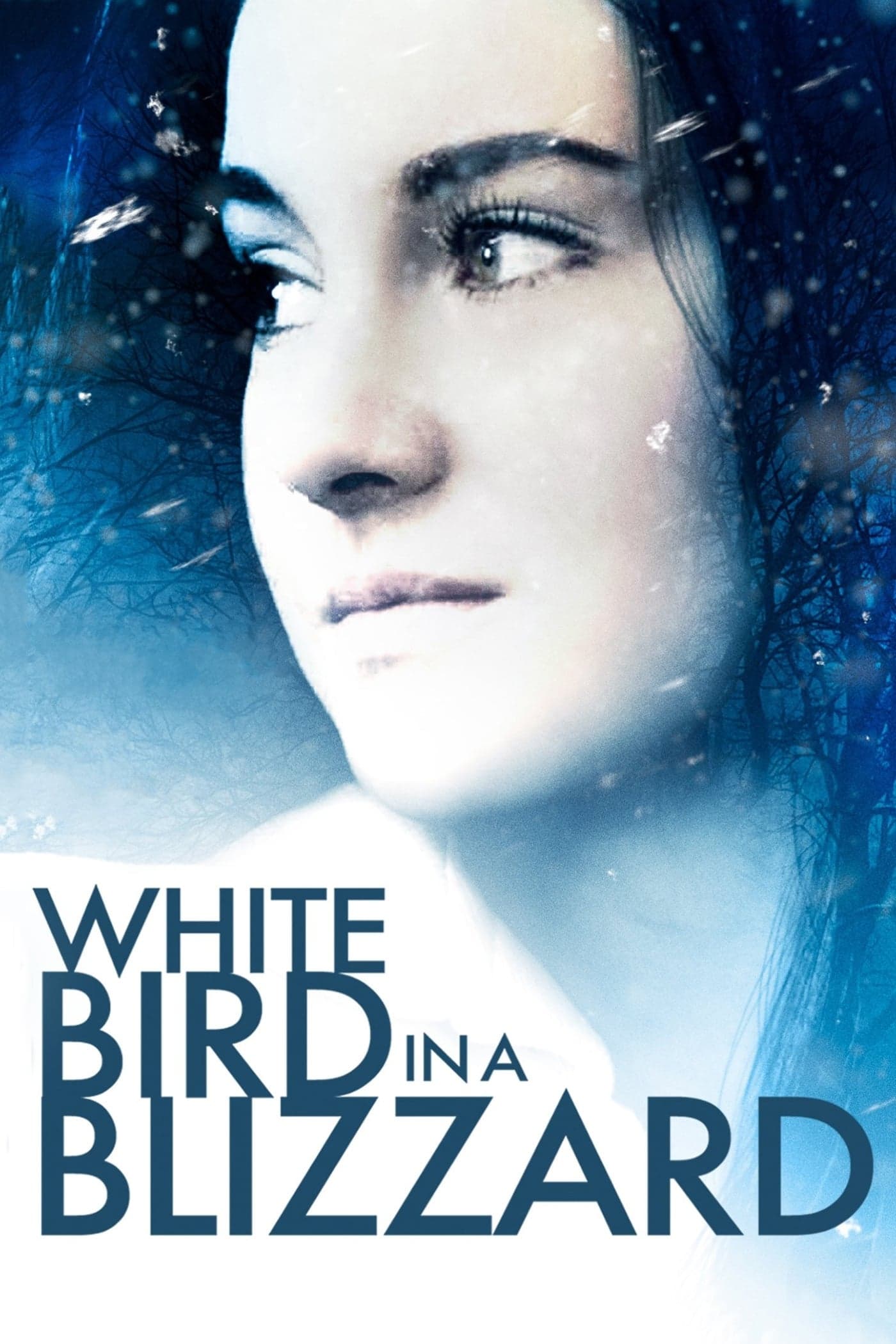 Poster White Bird in a Blizzard