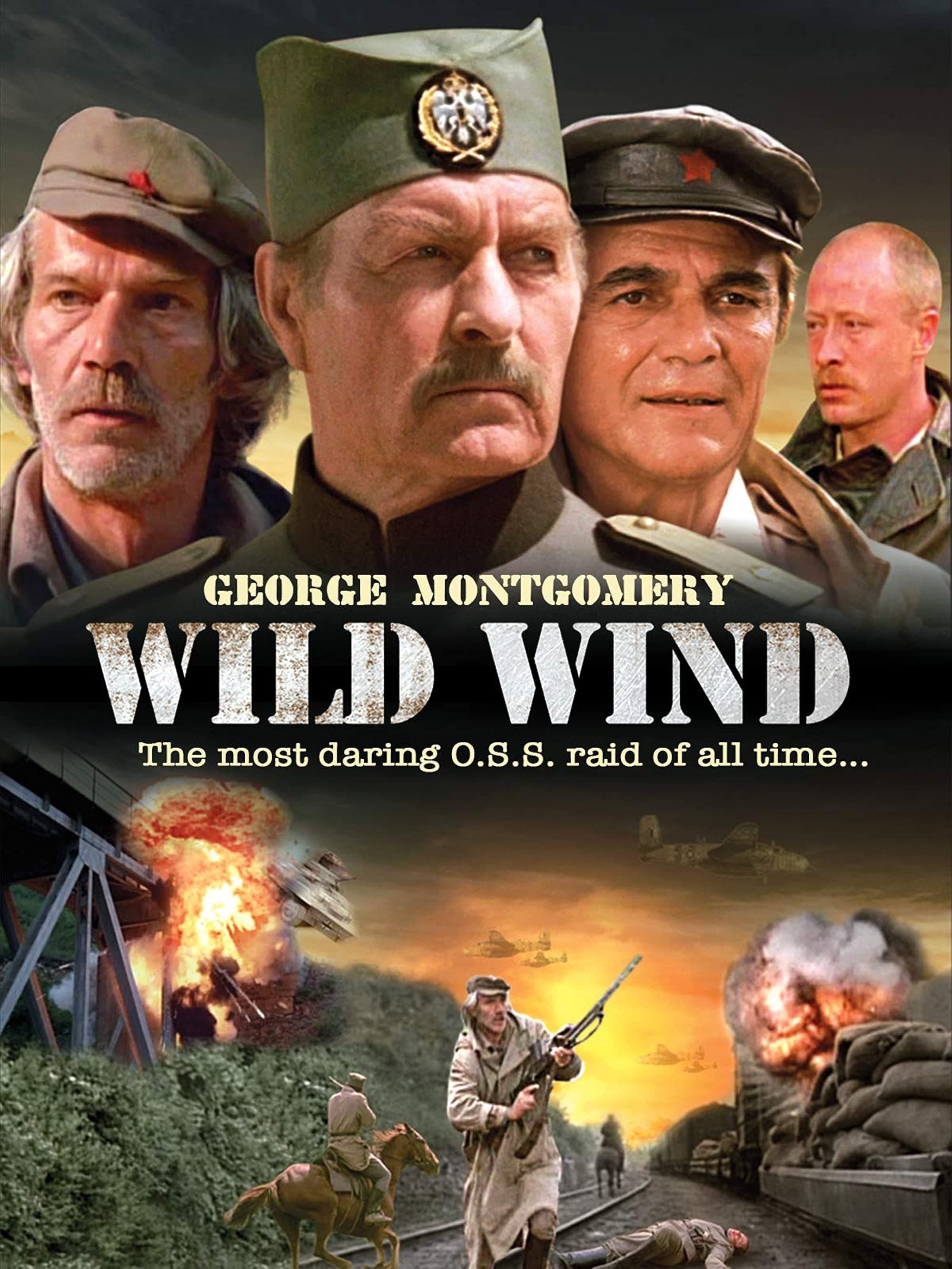 Poster Wild Wind