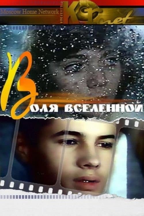 Poster Will of Universe