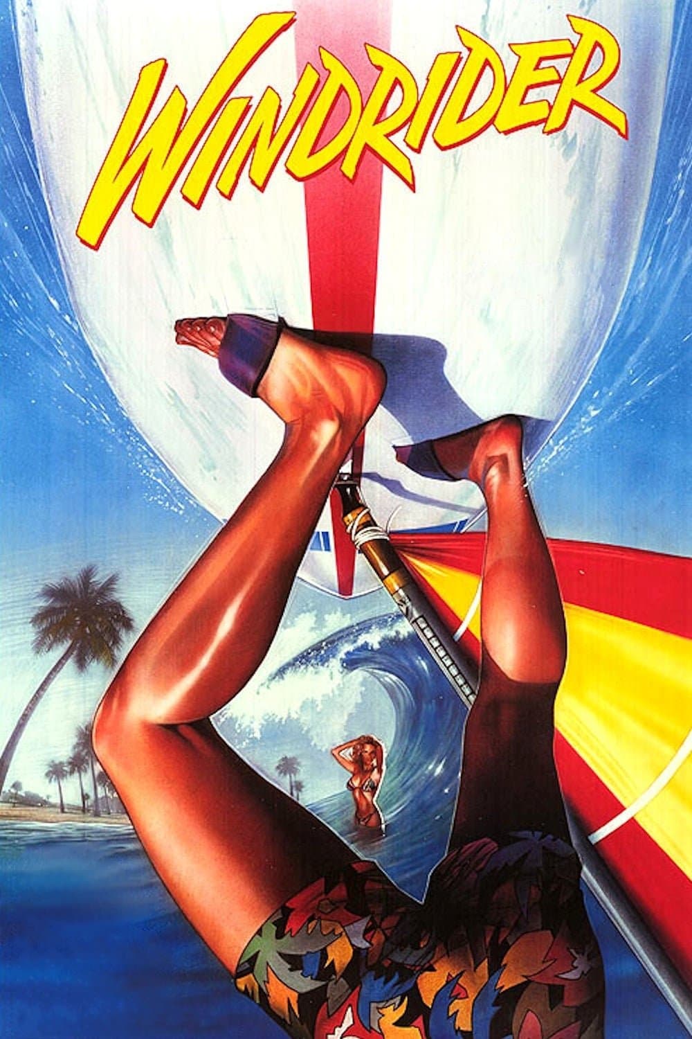 Poster Windrider