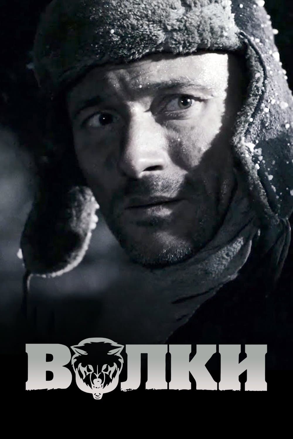 Poster Wolves