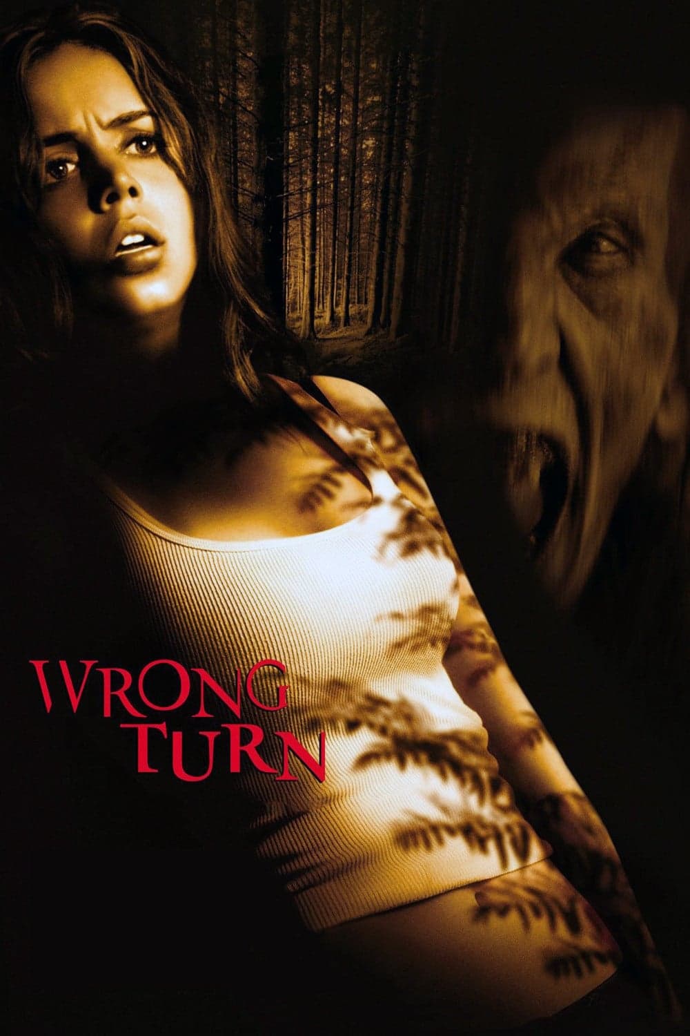 Poster Wrong Turn